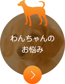 わんちゃんのお悩み
