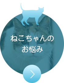 ねこちゃんのお悩み