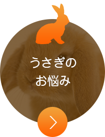 うさぎのお悩み